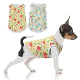 2 Piezas Camisetas para Perros,Camisa para Perro Camisetas Transpirable Camisetas de Playa de Verano Camiseta sin Mangas Ropa de Mascotas para Perros y Gatos Pequeños(M)