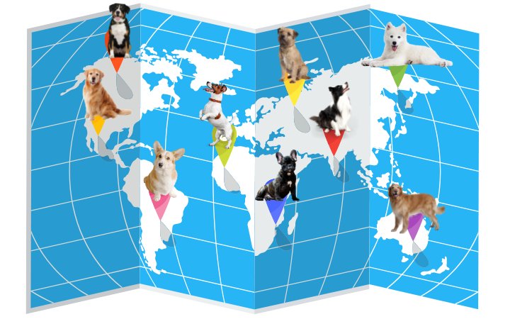 Nombre de perros mas populares paieses del mundo