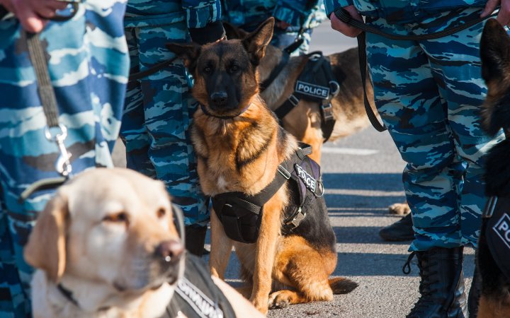 Nombre de perros policia