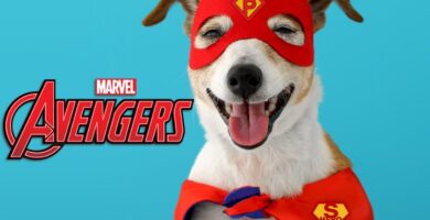 Nombre del perro marvel