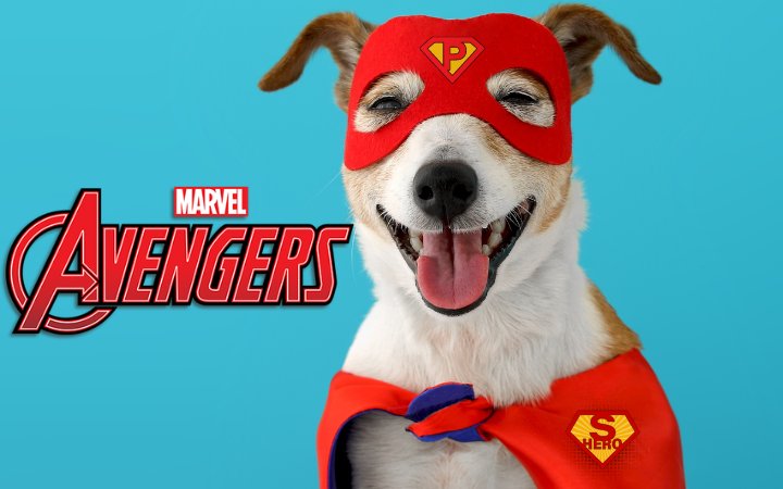 Nombre del perro marvel