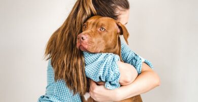 Nombres de Perros consejos por personalidad