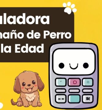 calculadora de peso perro con la edad