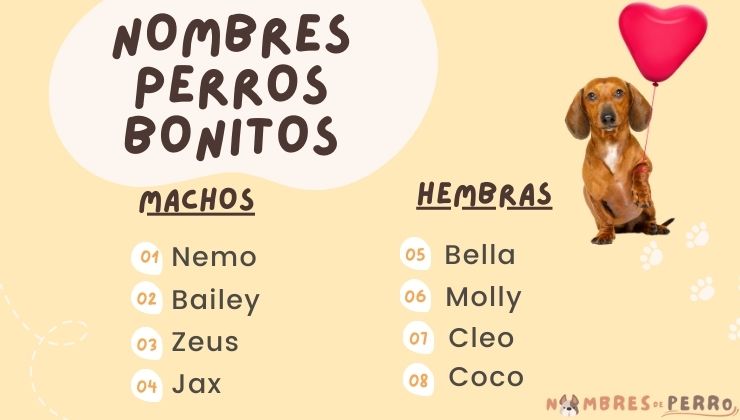 mejores nombre perro bonitos