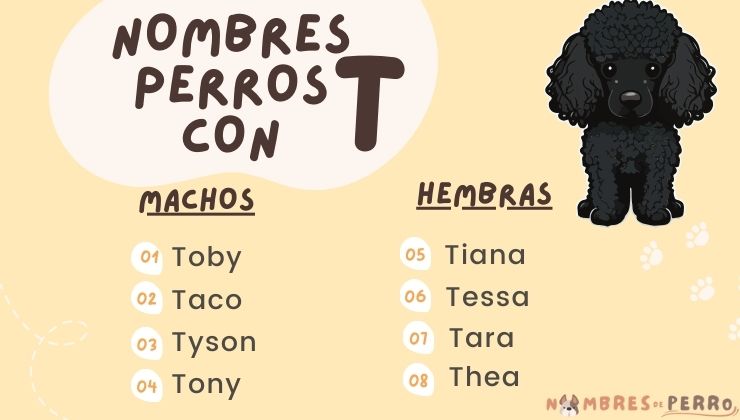 mejores nombre perro con t