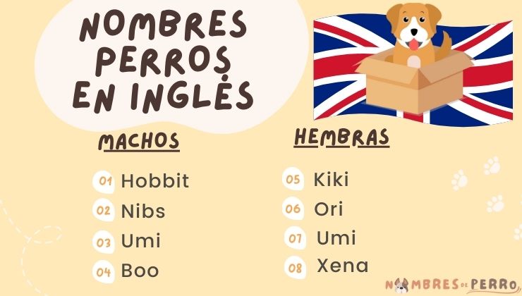 mejores nombre perro en ingles