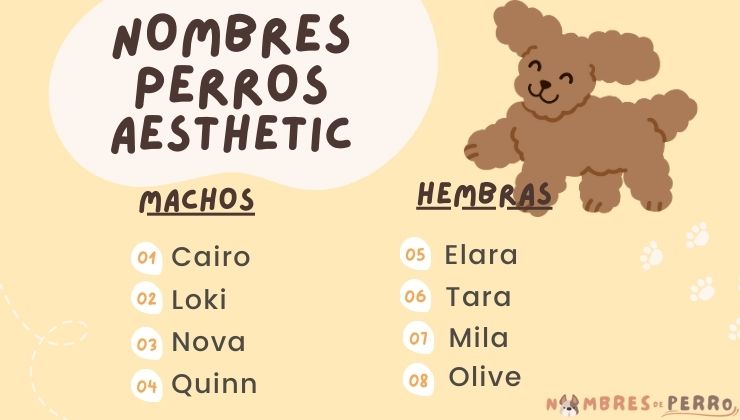 mejores nombres aesthetic para perro