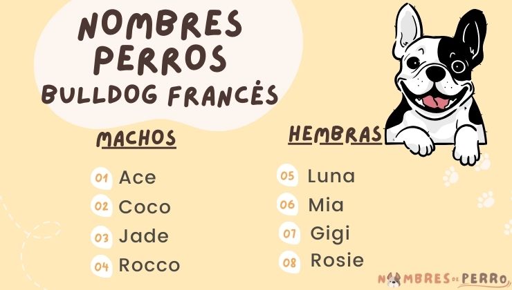 mejores nombres de perros bulldog frances