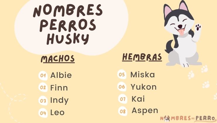 mejores nombres husky para perro