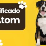 Significado de Atom Nombre de Perro