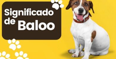 Significado del Nombre de Perro Baloo