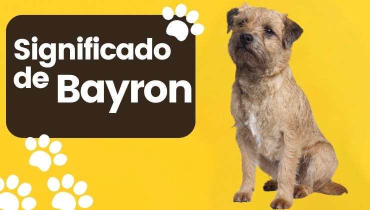 Significado del Nombre de Perro Bayron