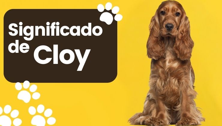 Cloy Nombre de Perro Significado