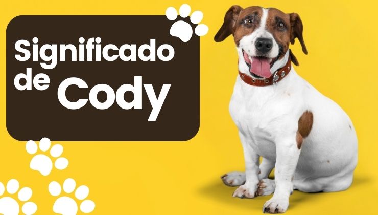 Significado de Cody Nombre de Perro