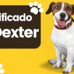 Significado del Nombre de Perro Dexter