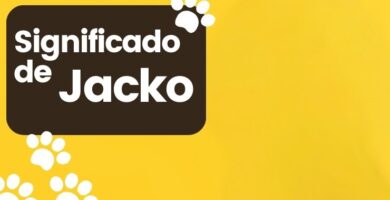 Significado de Nombre de Perro Jacko