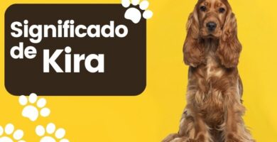 Kira Nombre de Perro Significado