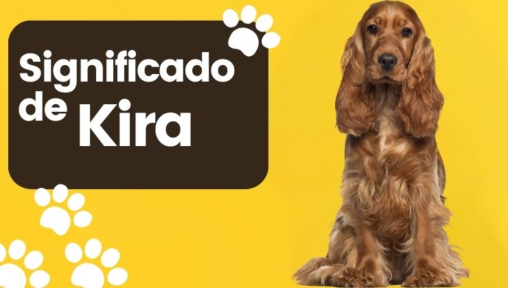 Kira Nombre de Perro Significado