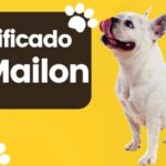 Mailon Nombre de Perro Significado