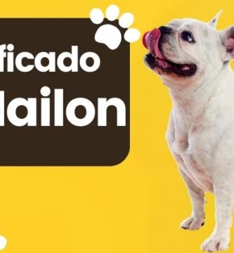 Mailon Nombre de Perro Significado