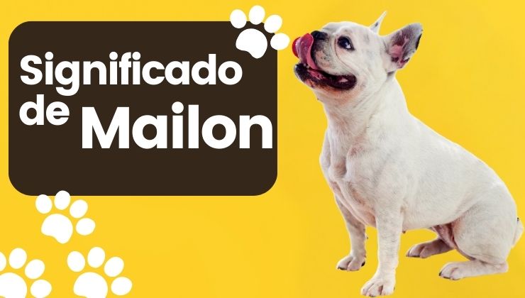 Mailon Nombre de Perro Significado