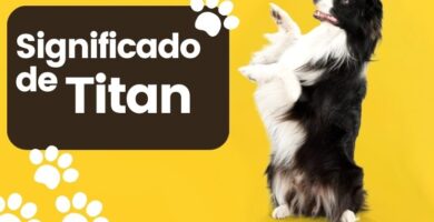 Significado del Nombre de Perro Titan